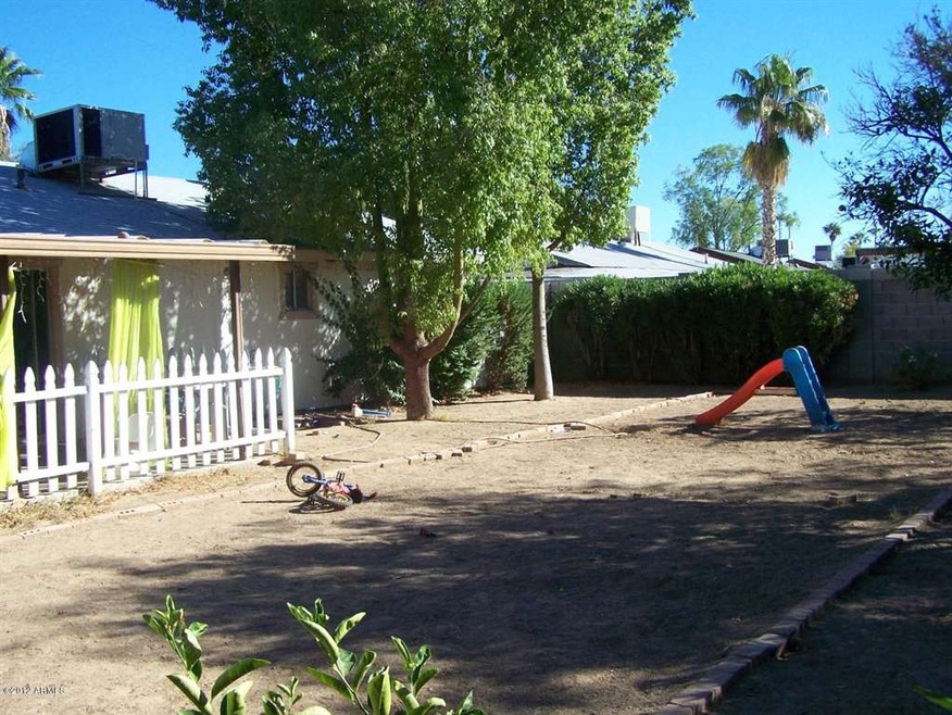 back yard 1
