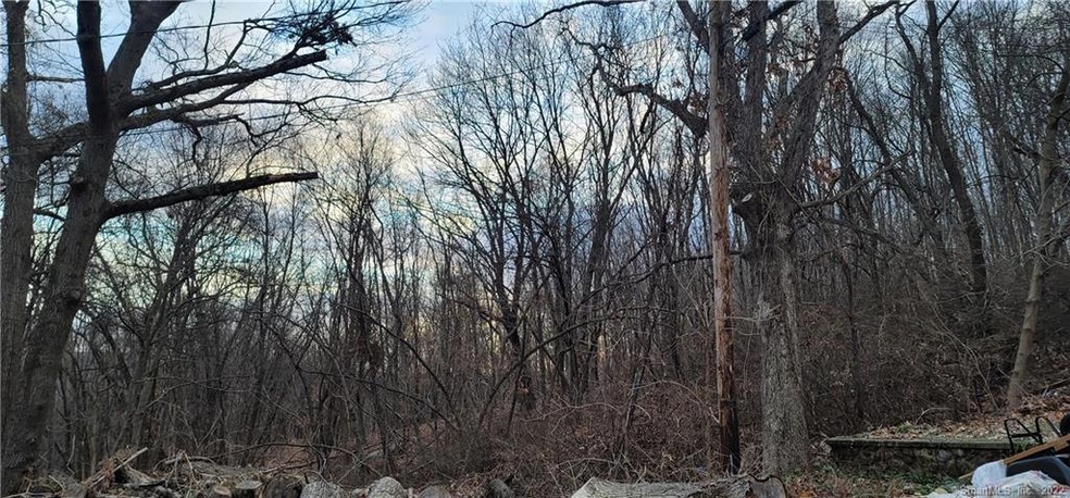 0 Berkeley Ave unit 170365980, Waterbury, CT 06704 - photo 1