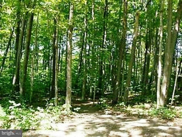 43590 Sunny Ridge Ln, Hollywood, MD 20636 - photo 1