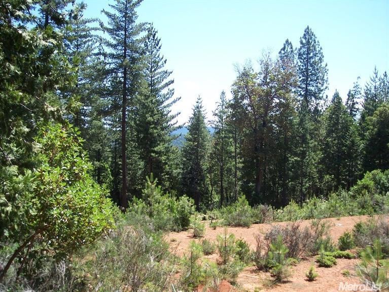 3281 Chipmunk Trail, Georgetown, CA 95634 - photo 1