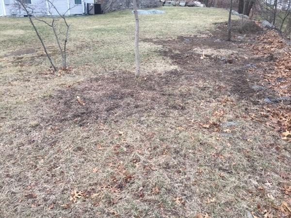 62 Wren Terrace, Quincy, MA 02169 - photo 1