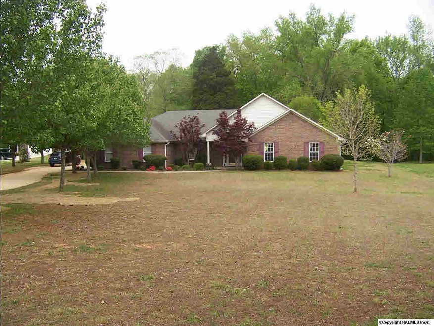 Spacious front yard