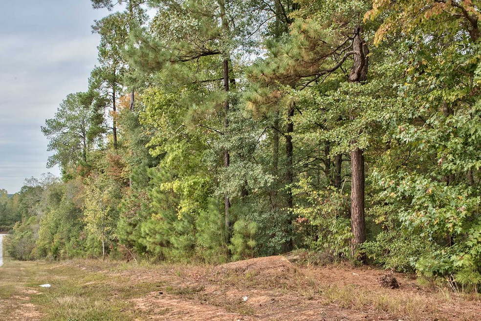 1050 Waterstone Dr, Madison, GA 30650 - photo 1