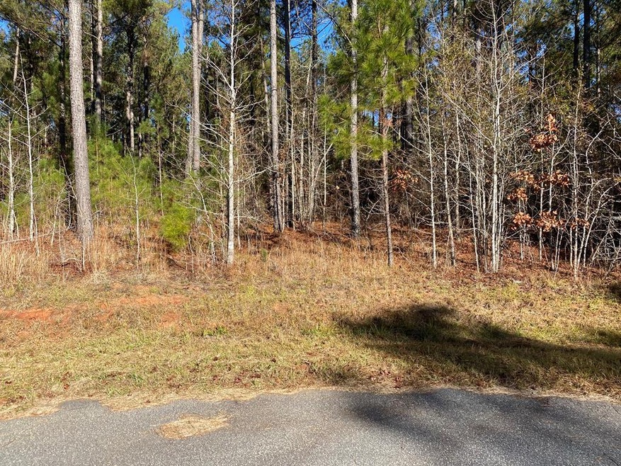 Lot 111 Dock Side Ln, Lincolnton, GA 30817 - photo 1