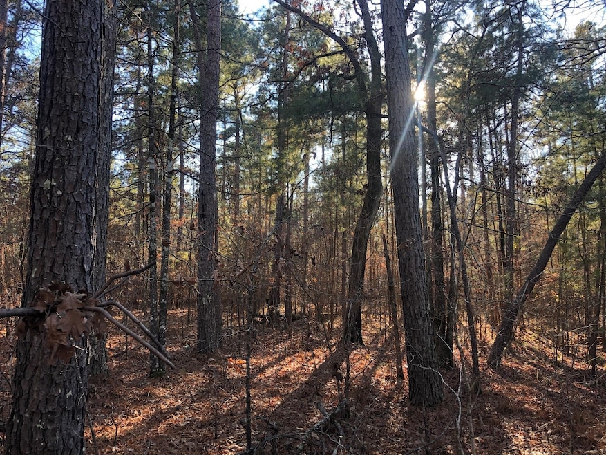 0 Highway 160 unit 21090372, Plain Dealing, LA 71064 - photo 1