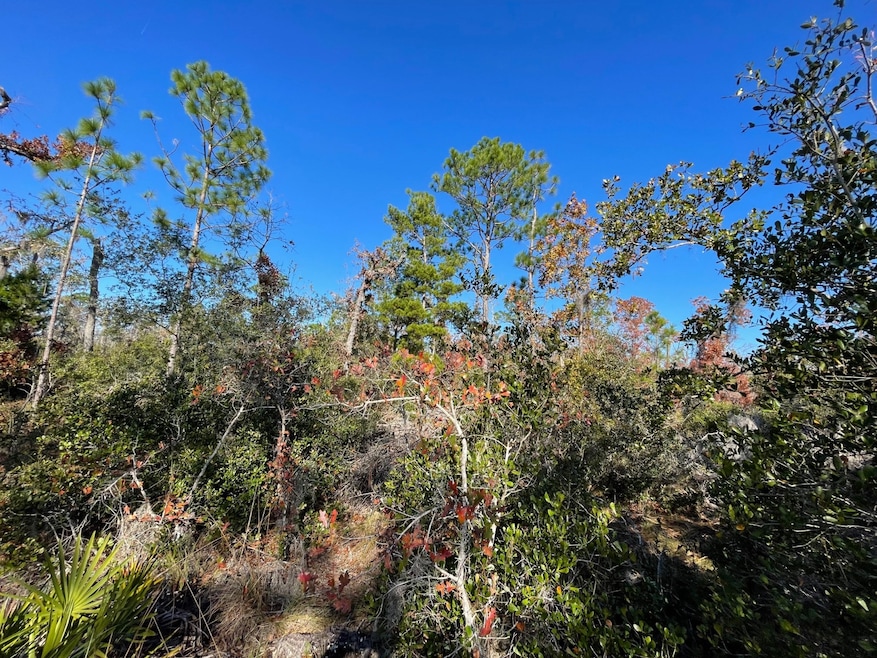 TBD Lot #19 Sea Oaks Dr unit 19, Perry, FL 32348 - photo 1