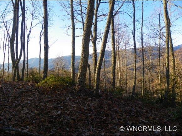 View looking towards Sylva