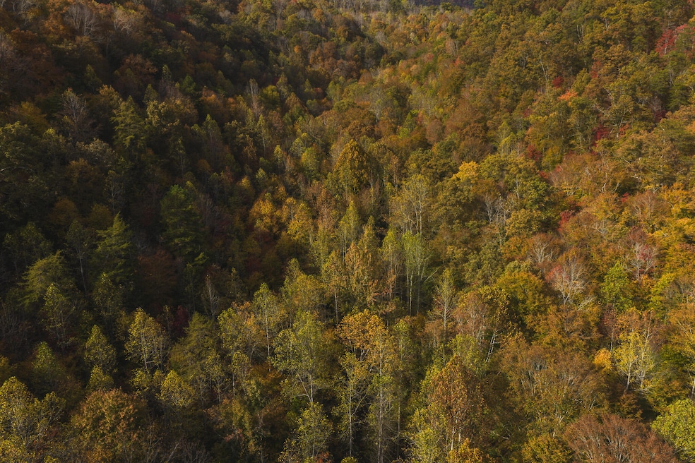 0 Livesay Chapel Rd unit 709549, Kyles Ford, TN 37765 - photo 1