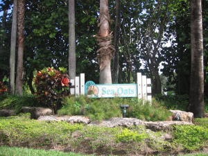 IMG_0667 (2)