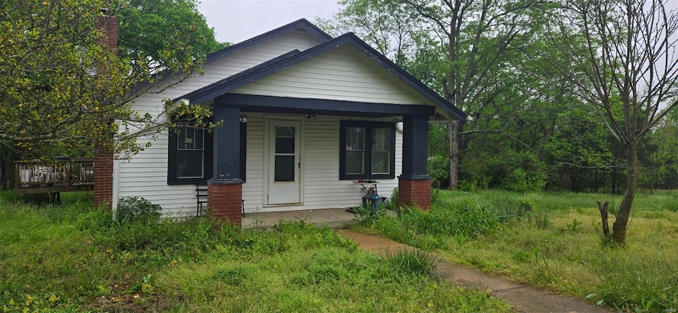 12658 Dry Creek Rd, de Soto, MO 63020 - photo 1