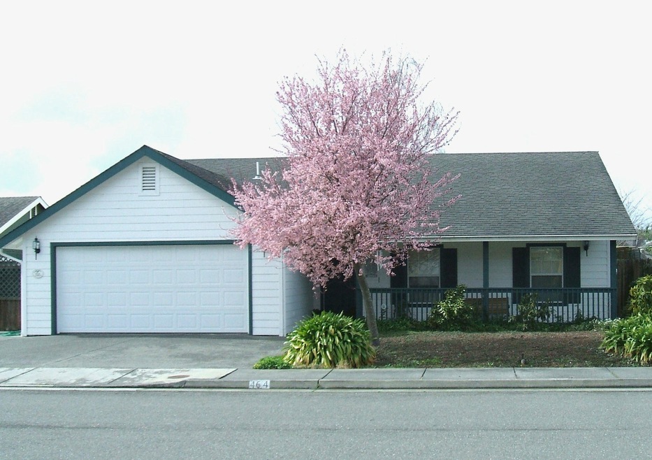 assorted  from 464   2 005