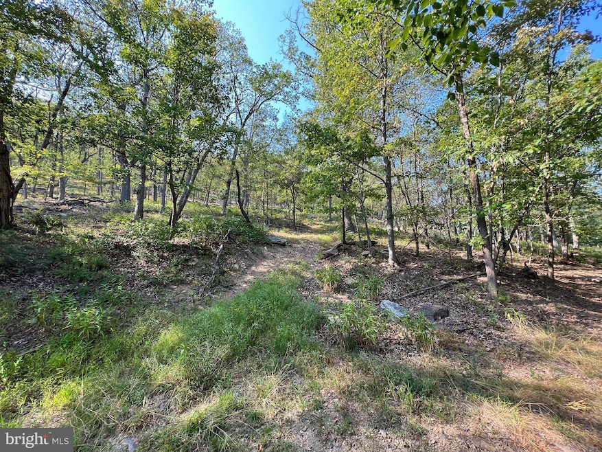 0 12 Elk Trail unit VAFV2018238, Winchester, VA 22602 - photo 1