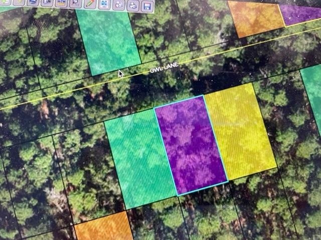 XX Owl Ln unit 1, Crawfordville, FL 32327 - photo 1