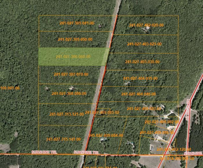 0 N Sunshine Trail unit 201817387, Wolverine, MI 49799 - photo 1