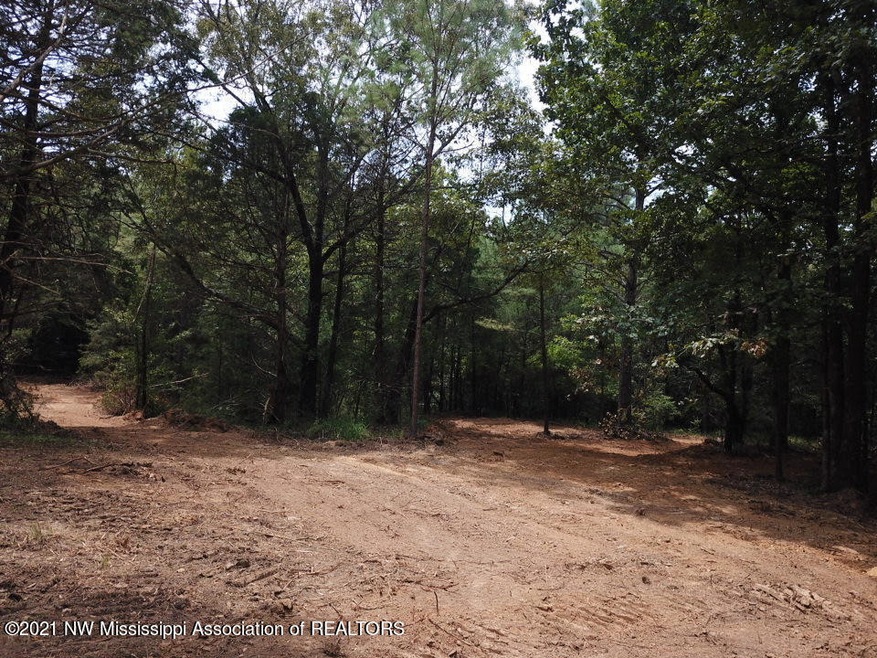 27 French Rd, Byhalia, MS 38611 - photo 1