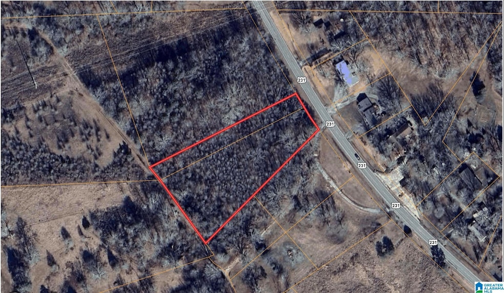 36555 US Hwy 231, Ashville, AL 35953 - photo 1