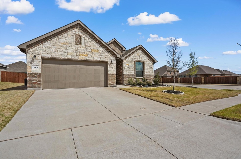 1601 Native Dancer Way, Granbury, TX 76049 - photo 1
