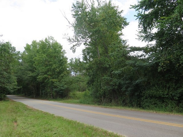 Primary Photo