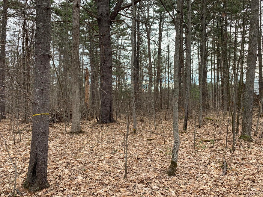 18 Mud Pond Rd, Windham, ME 04062 - photo 1