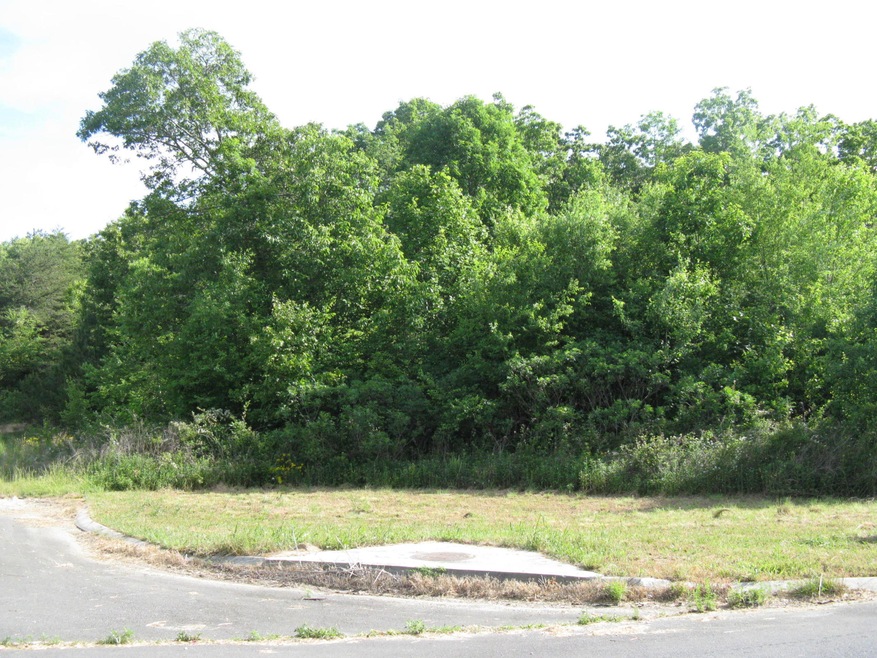 Peavine Lot photo
