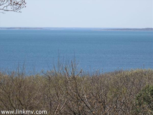 View from Lee Property