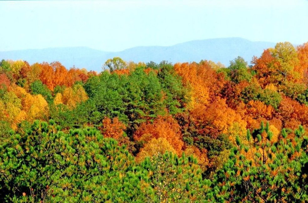 2827 Crow Valley Rd, Dalton, GA 30720 - photo 1