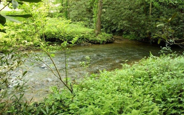 0 Gates Chapel Rd unit 257787, Ellijay, GA 30540 - photo 1