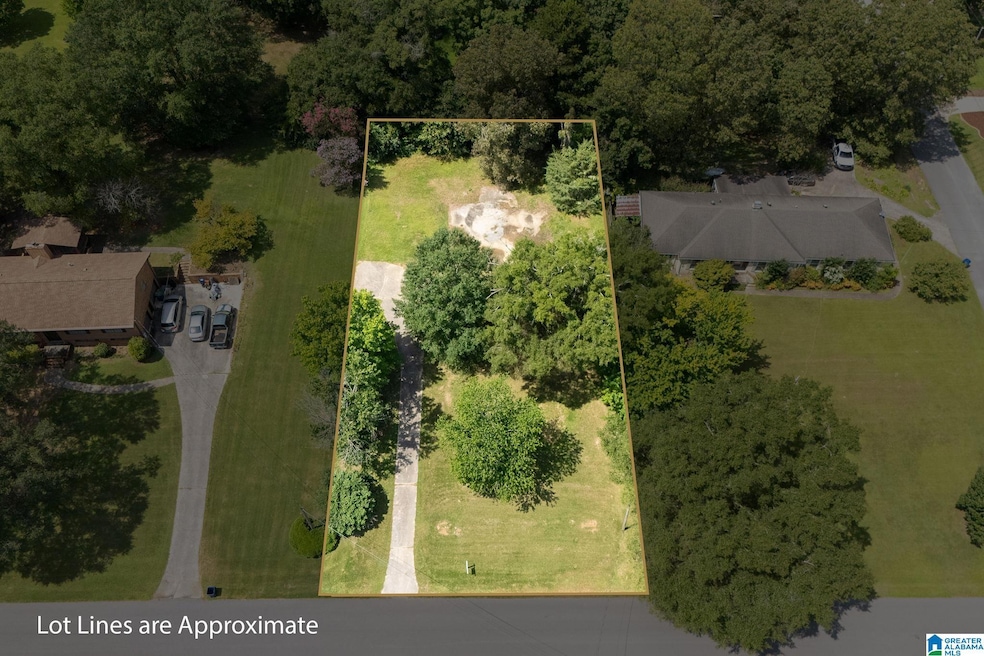 521 13th St SW, Alabaster, AL 35007 - photo 1