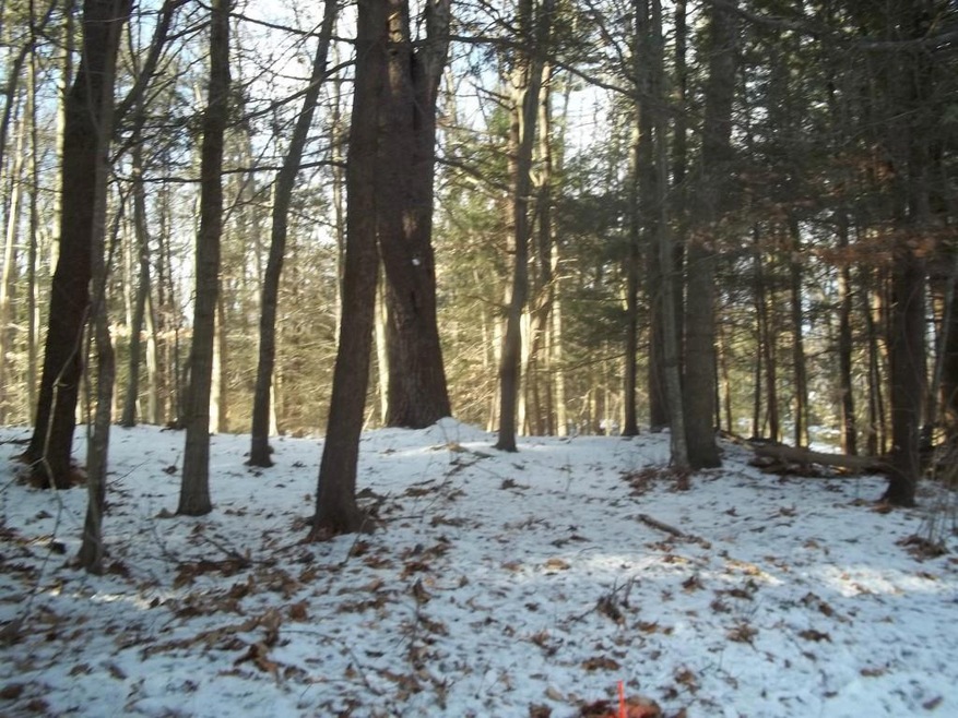 unlisted-address, York, ME 03909 - photo 1