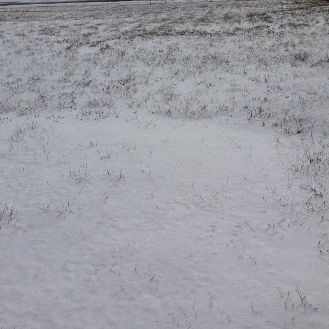 616 N Alexandria, Nixa, MO 65714 - photo 1