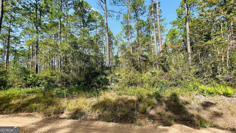 3.75 ACRES Mount Pleasant Rd, Jesup, GA 31546 - photo 1