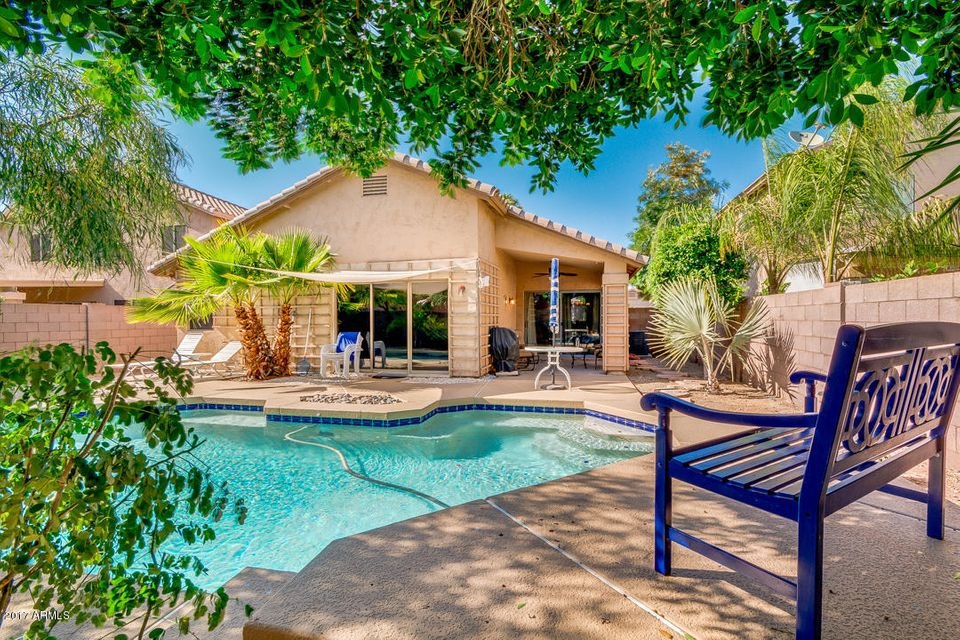38-Palm Ridge