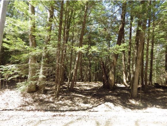 0 Rte 63 & Crowningshield Rd, Chesterfield, NH 03462 - photo 1