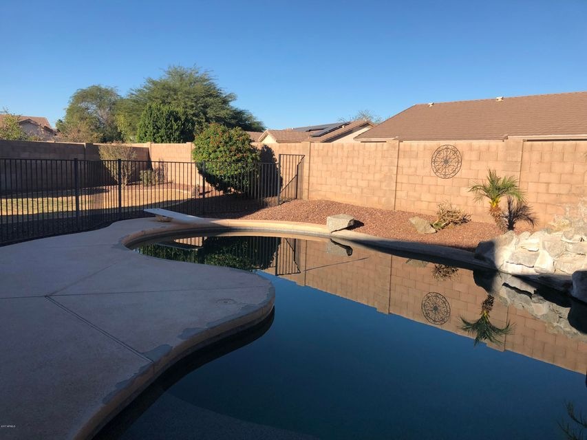Lupine Pool 1
