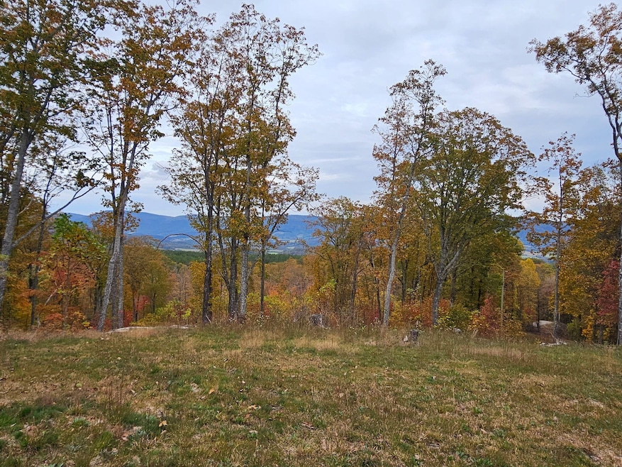 0 Overview Rd unit RTC3011844, Crossville, TN 38572 - photo 1