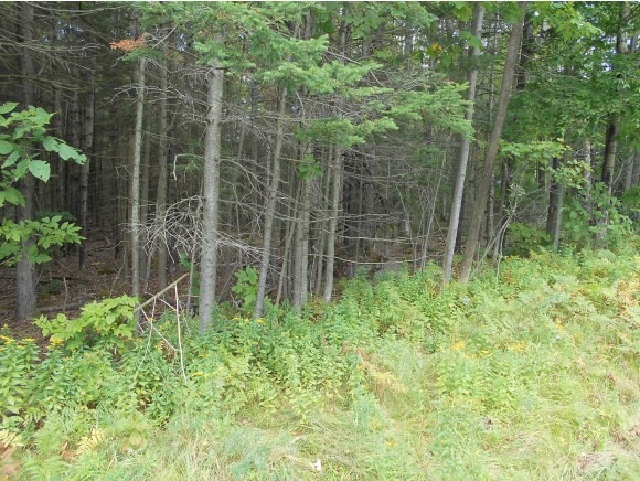 Lot 22 Rt 2, Lunenburg, VT 05906 - photo 1