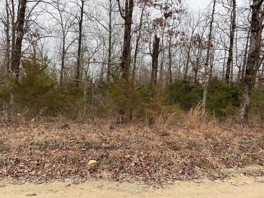 0 County Road 462 unit 21001480, Beaver Dam Township, MO 63901 - photo 1