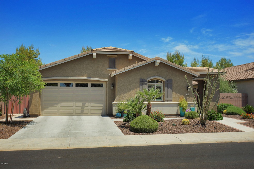 2470EBlueSpruce002