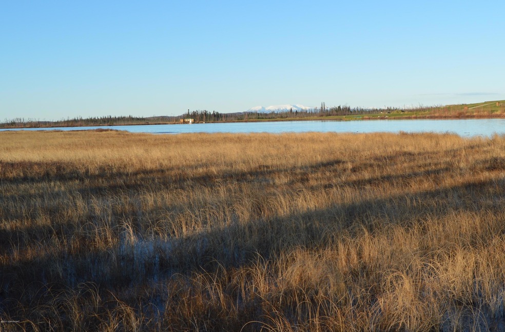 4082 Pond Lily Ln, Wasilla, AK 99654 - photo 1