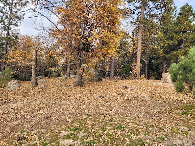 32240 Whisper Dr, Running Springs, CA 92382 - photo 1