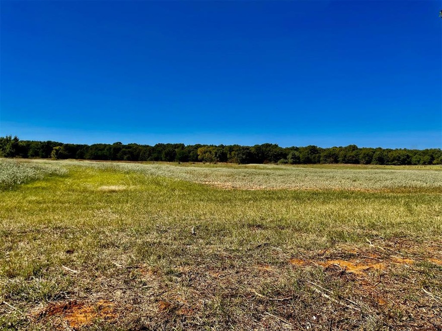 Lot 5 Stanley Ln, Poolville, TX 76487 - photo 1