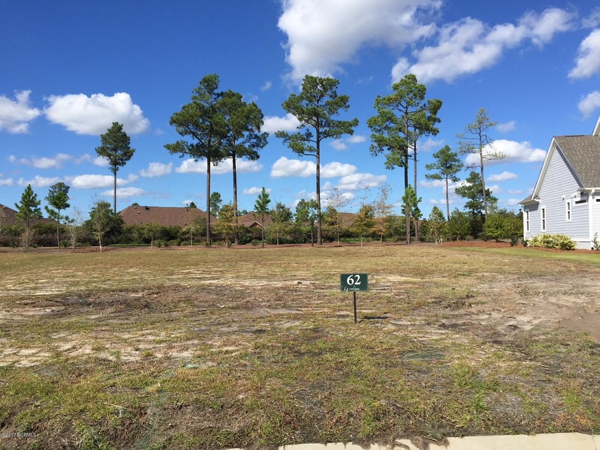 1408 Cross Water Cir, Leland, NC 28451 - photo 1