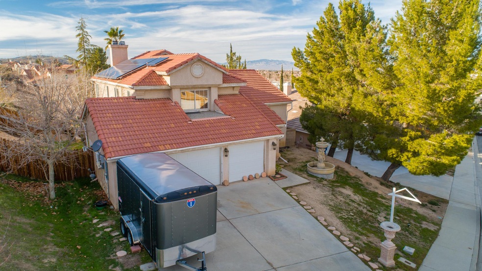 DJI_0001juniper_