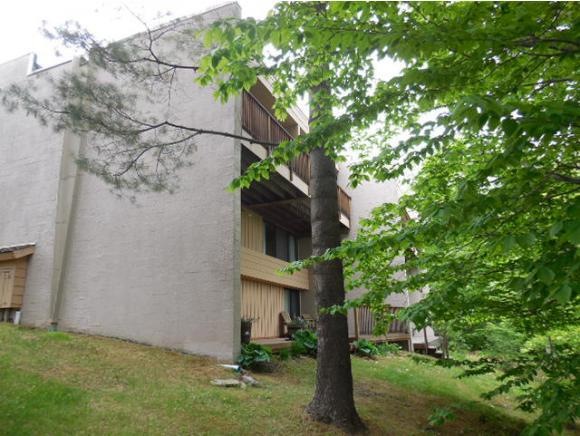 1275 Notchbrook Rd unit 18AB, Stowe, VT 05672 - photo 1