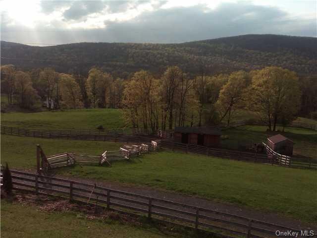 45 Booth Rd, Chester, NY 10918 - photo 1