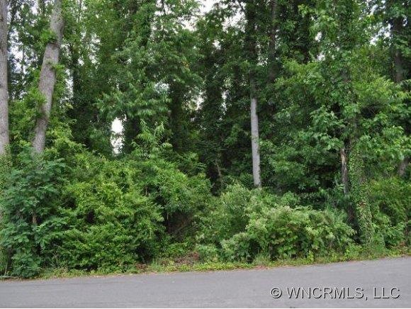 00 Chapel Park Place, Asheville, NC 28803 - photo 1