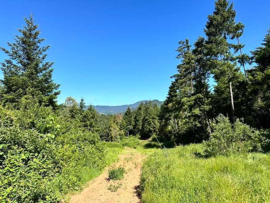 780 Tunnel Rd, Glendale, OR 97442 - photo 1