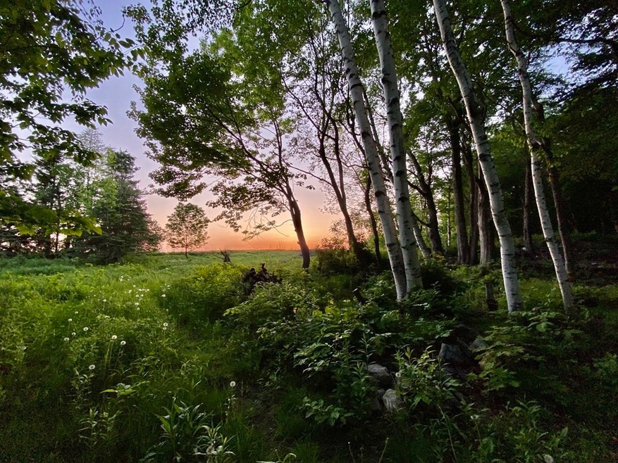 0 Old Stage Rd unit 73118454, Ashfield, MA 01330 - photo 1