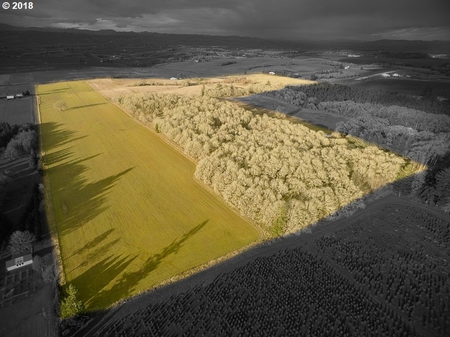 7950 Red Prairie Rd, Sheridan, OR 97378 - photo 1