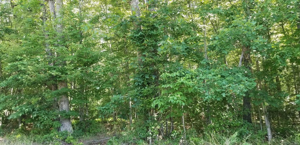 Morgan County